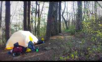 Amy G.'s photo of tent camping at Mountain Crossings - Neel Gap m- AT Camp and Store near Culberson, NC