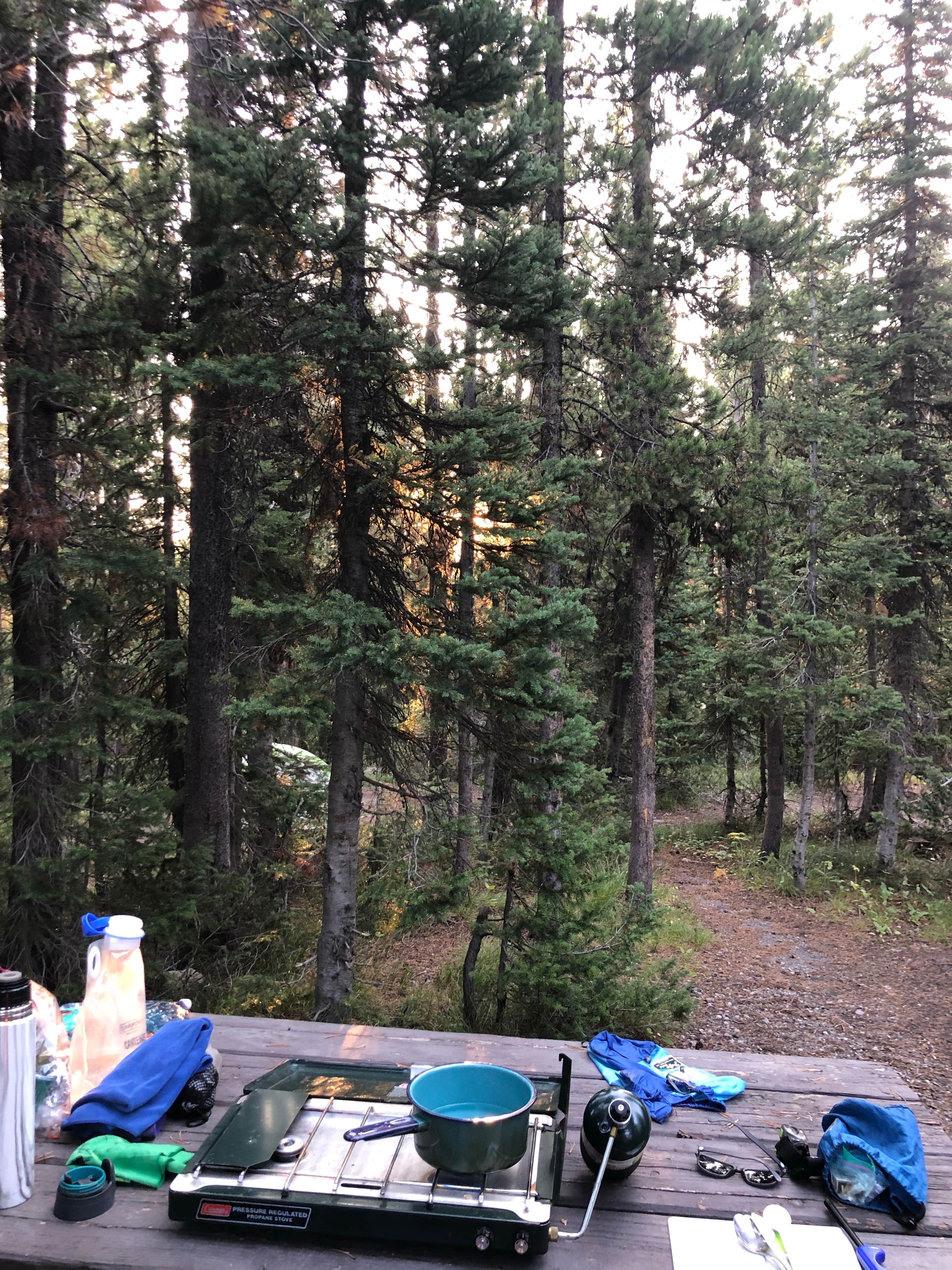 Kate D.'s photo at Lewis Lake — Yellowstone National Park near John D. Rockefeller Jr. Memorial Parkway