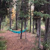 Review photo of Lewis Lake - Yellowstone National Park by Kate D., August 31, 2020