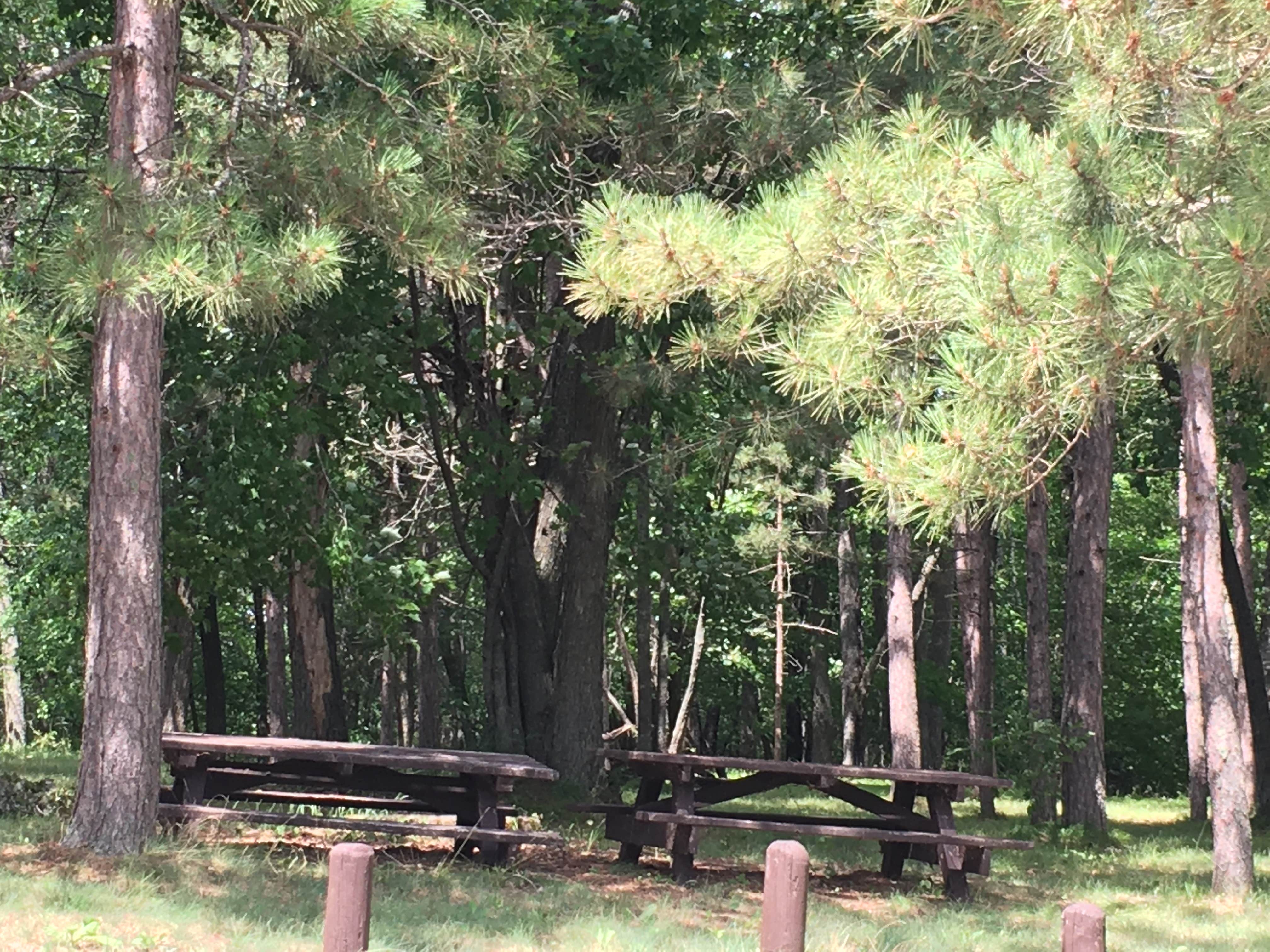 Camper-submitted photo at Plug Hat Point near Blackduck, MN