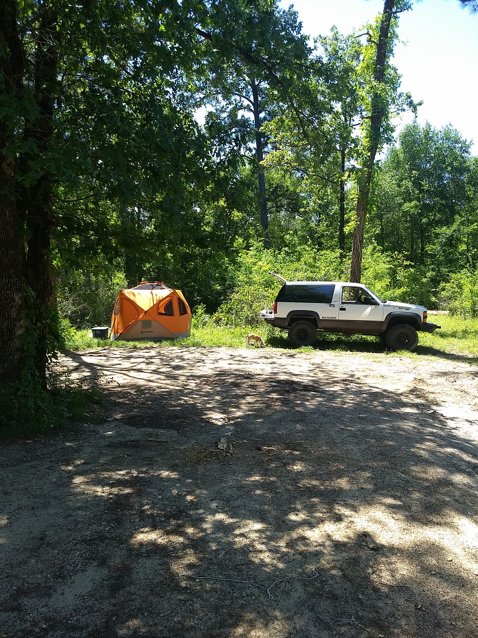 Camper submitted image from Kelly's Pond Campground - 3