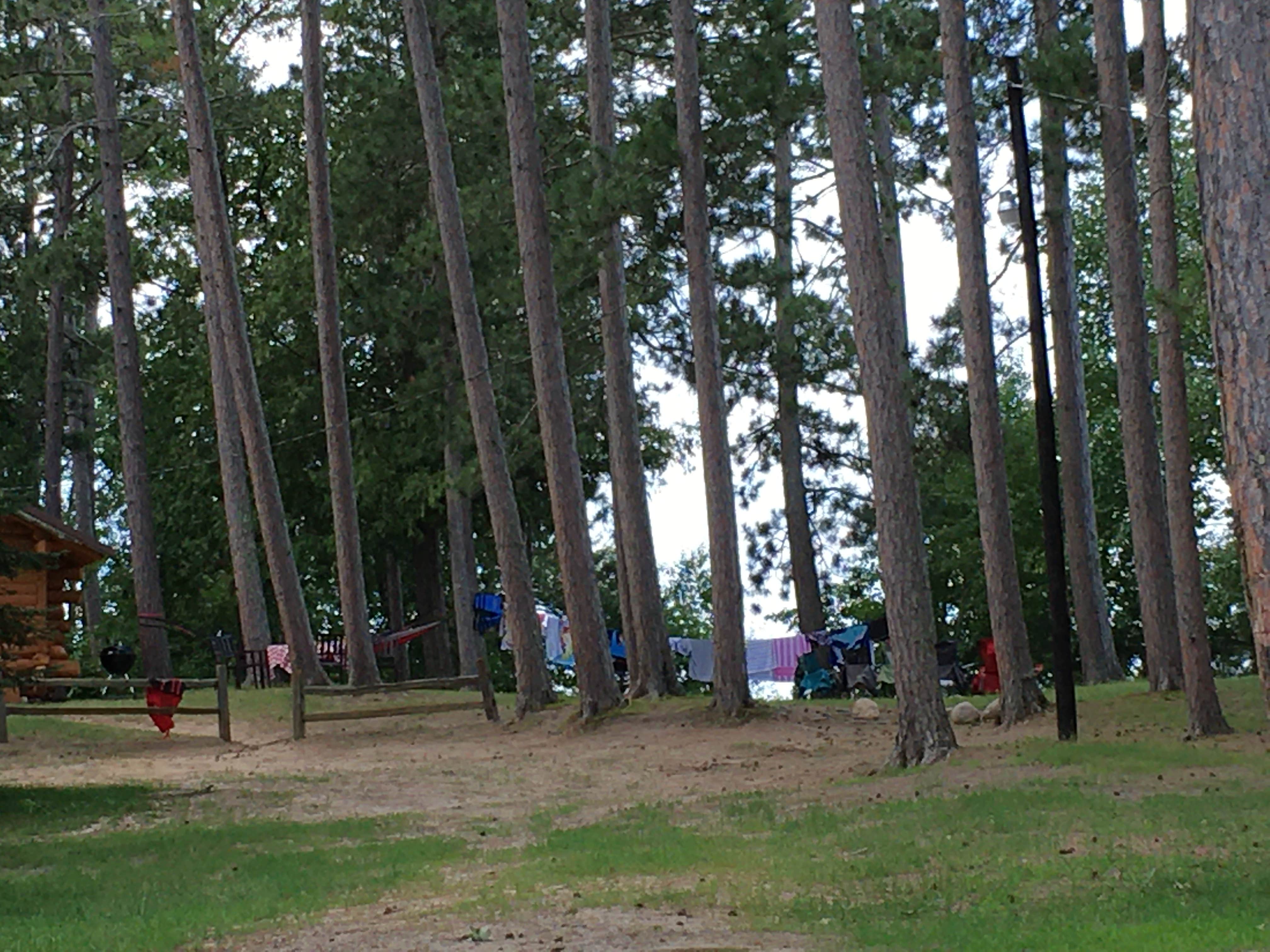 Camper-submitted photo at Highbanks Resort Campground on Lake Winnie near Mississippi River Headwaters - Leech Lake