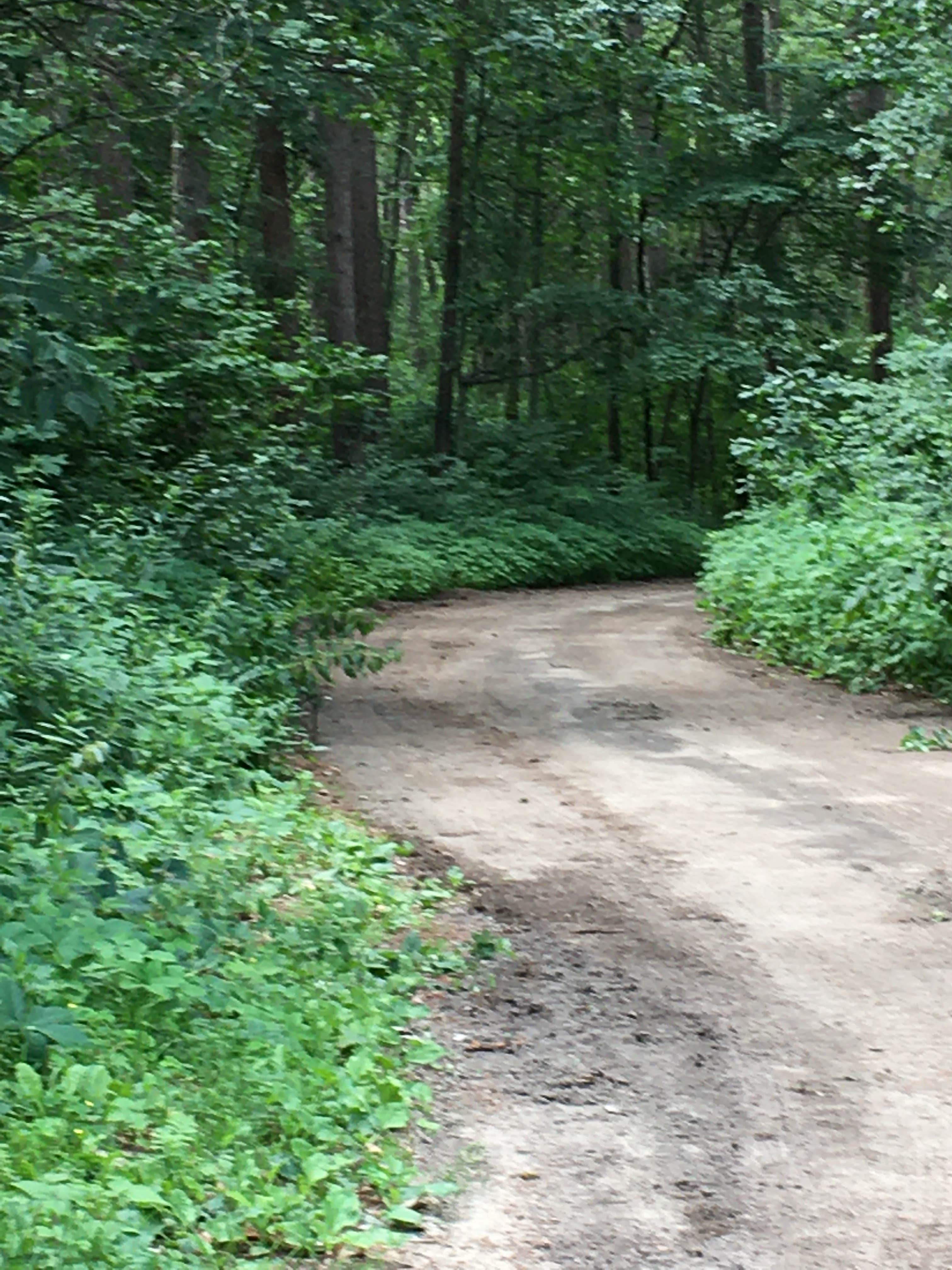 Camper-submitted photo at Highbanks Resort Campground on Lake Winnie near Mississippi River Headwaters - Leech Lake