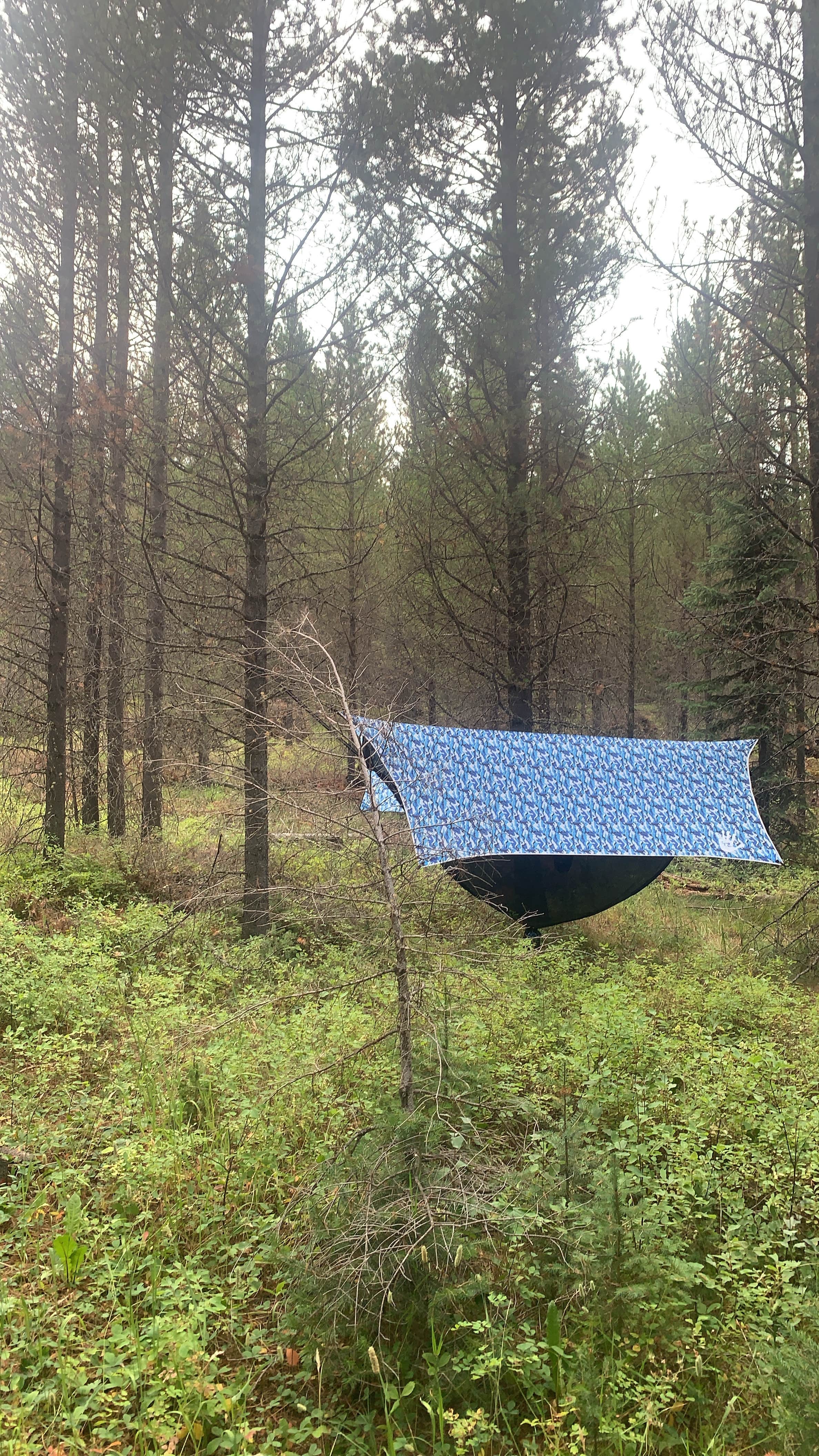 Camping near Grasshopper: Spring Creek Campground, Martinsdale, Montana