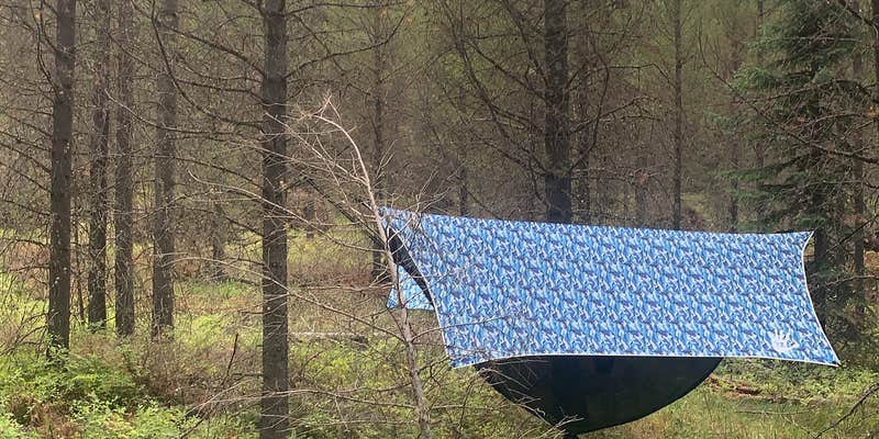 Camper submitted image from Spring Creek Campground