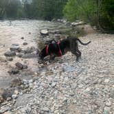 Review photo of Cascade Campground-Custer National Forest by Timothy , August 31, 2020