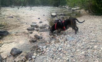 Timothy's photo of camping with pets at Cascade Campground-Custer National Forest near Frannie, WY