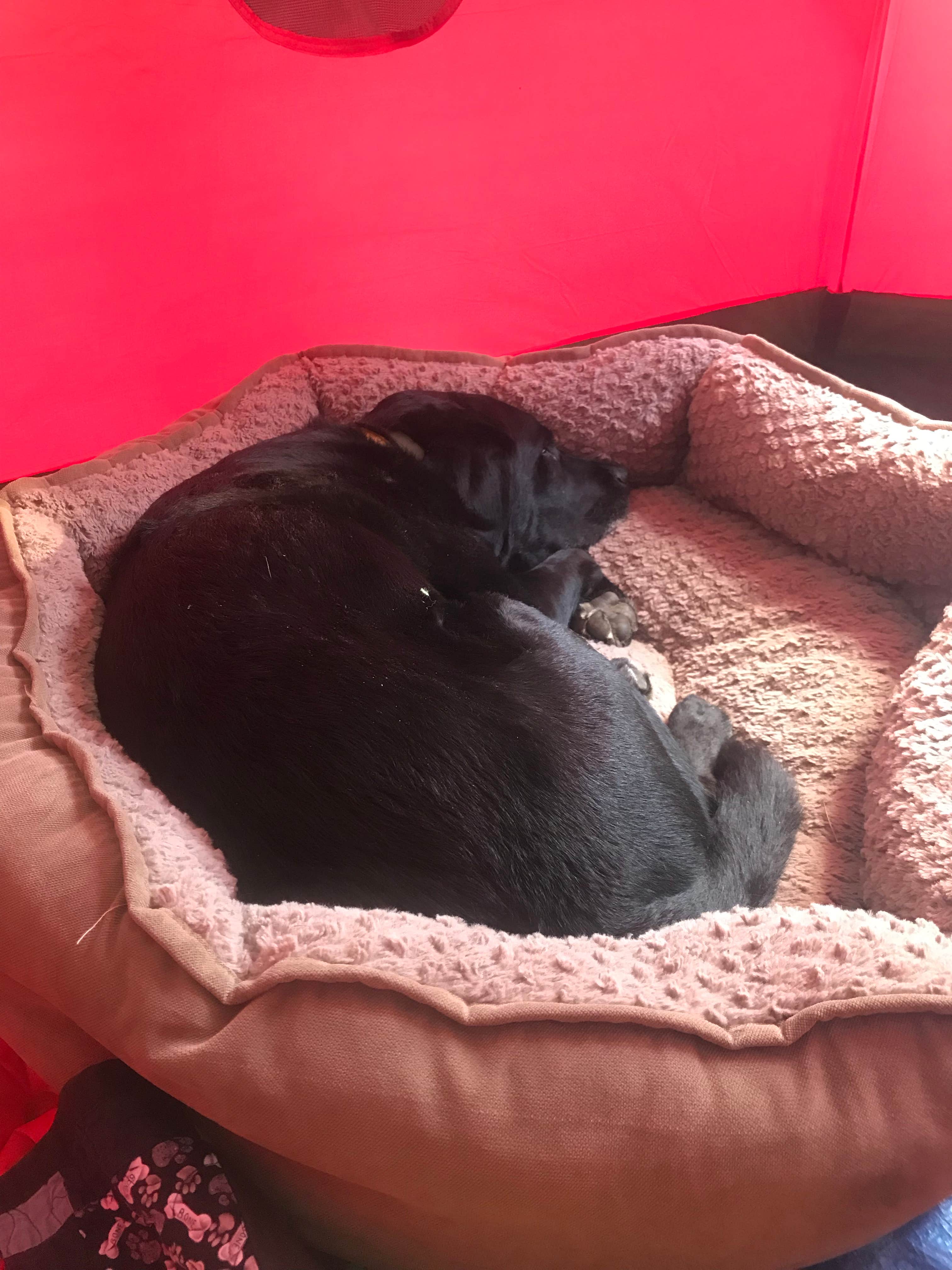 Deer Creek Campground — Golden Gate Canyon