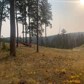 Review photo of Black Hills National Forest Dutchman Campground by Timothy , August 31, 2020