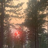 Review photo of Black Hills National Forest Dutchman Campground by Timothy , August 31, 2020