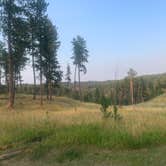 Review photo of Black Hills National Forest Dutchman Campground by Timothy , August 31, 2020