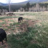 Review photo of Deer Creek Campground — Golden Gate Canyon by Holly B., May 11, 2018
