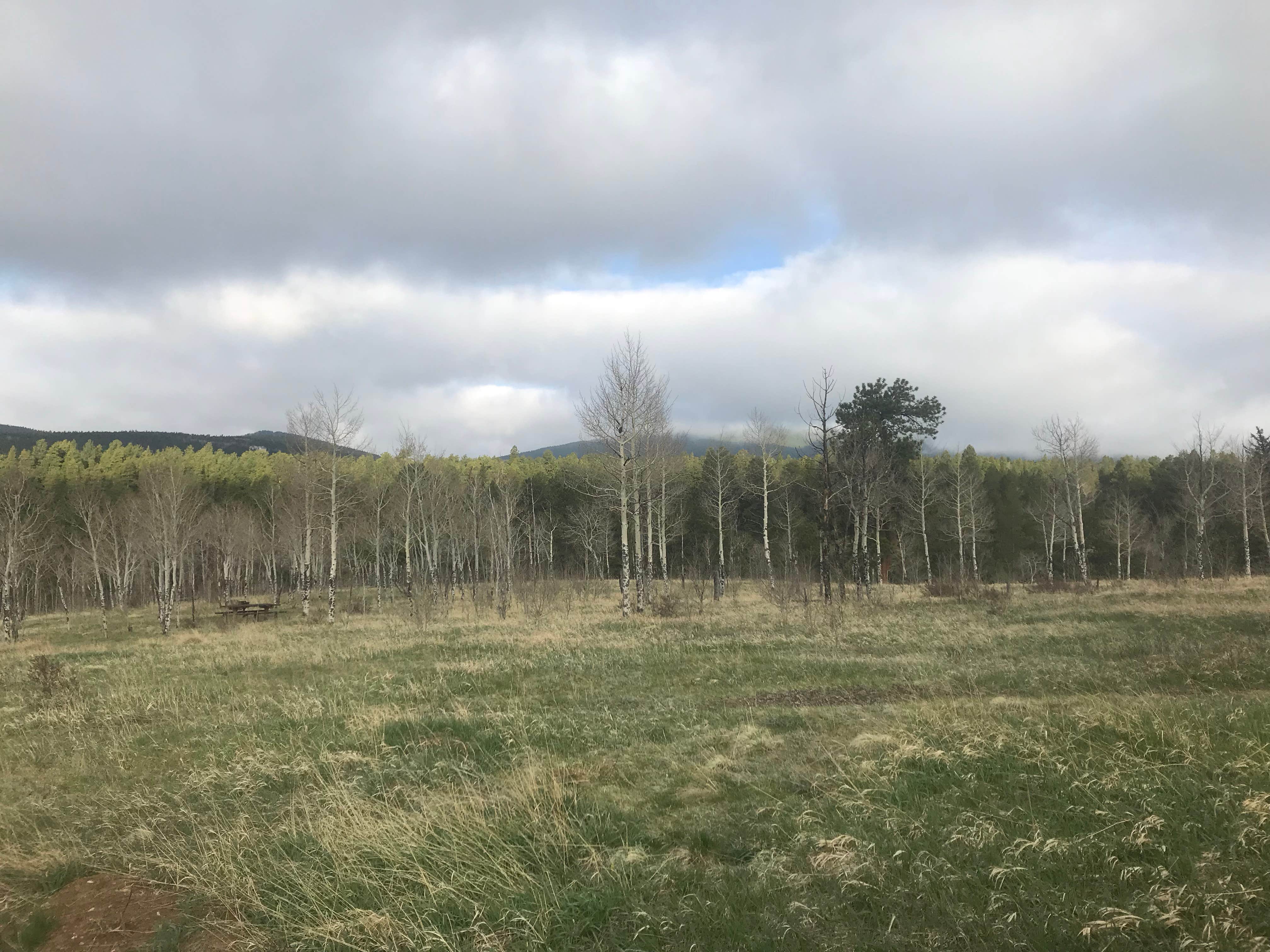 Camper-submitted photo at Deer Creek Campground — Golden Gate Canyon near Eastlake, CO