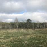 Review photo of Deer Creek Campground — Golden Gate Canyon by Holly B., May 11, 2018