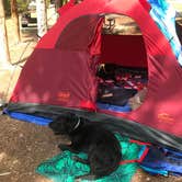 Review photo of Deer Creek Campground — Golden Gate Canyon by Holly B., May 11, 2018