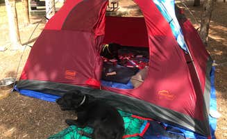 Holly B.'s photo at Deer Creek Campground — Golden Gate Canyon near Commerce City, CO