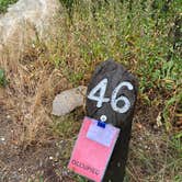 Review photo of Jenny Lake Campground — Grand Teton National Park by Jonas , August 31, 2020