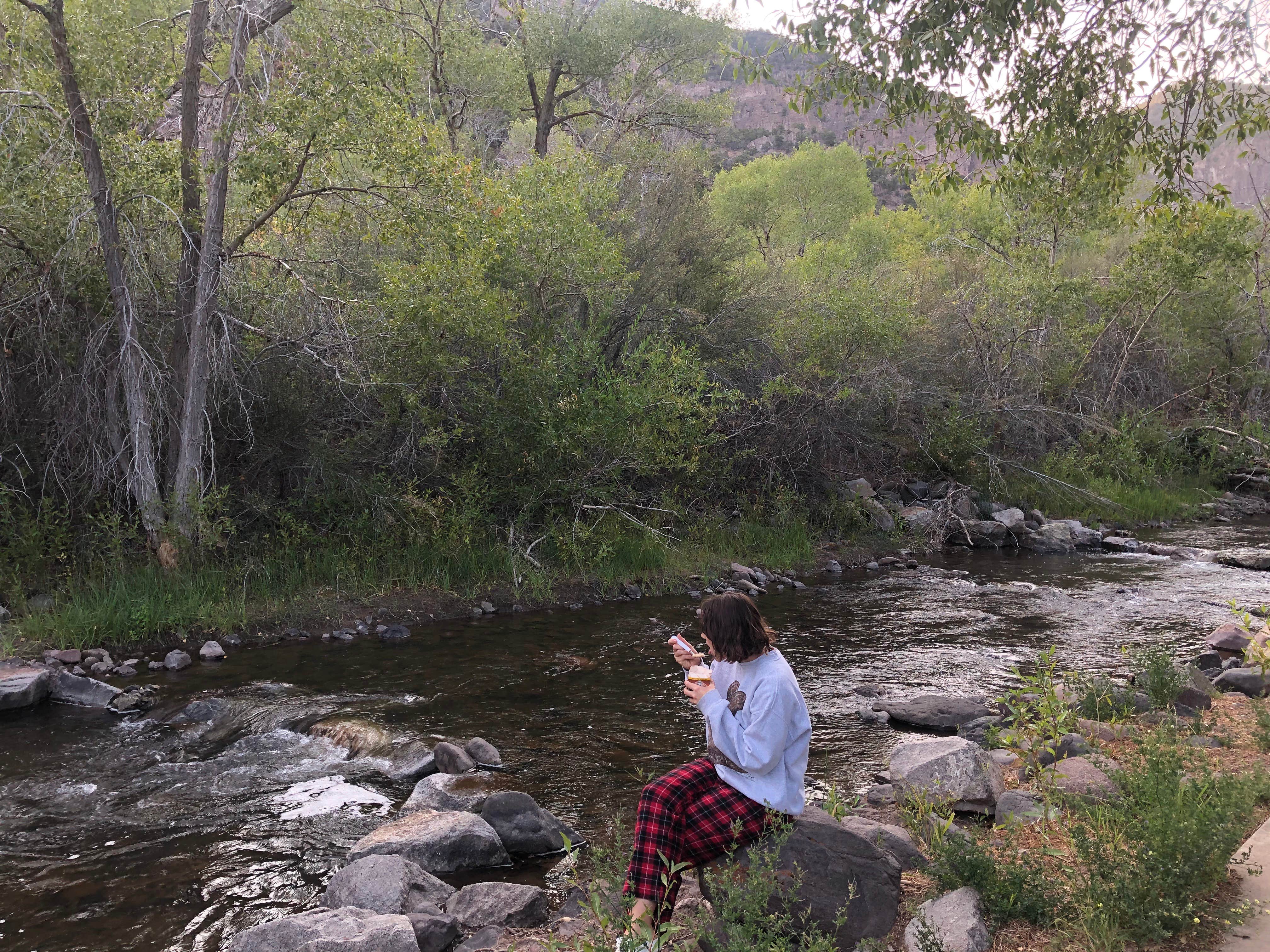 Camper submitted image from Little Cottonwood Campground - 5