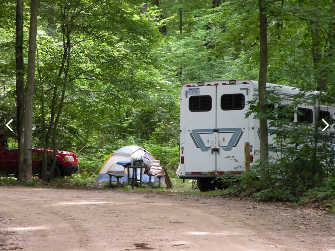 Camping near Paris Park: Hungerford Lake Campground, Big Rapids, Michigan