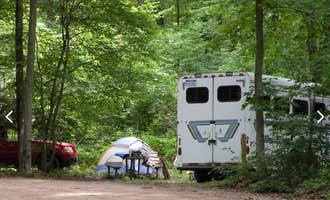 Camping near Paris Park: Hungerford Lake Campground, Big Rapids, Michigan