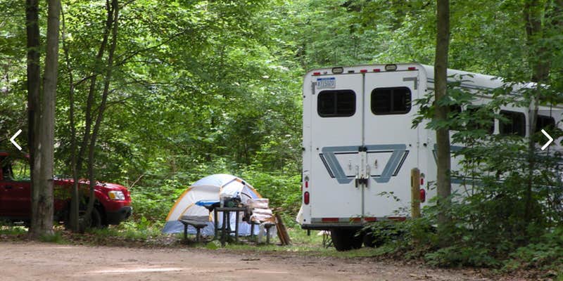Camper submitted image from Hungerford Lake Campground