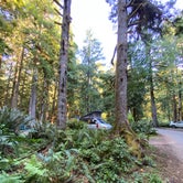 Review photo of Fairholme Campground — Olympic National Park by Blaine B., August 31, 2020