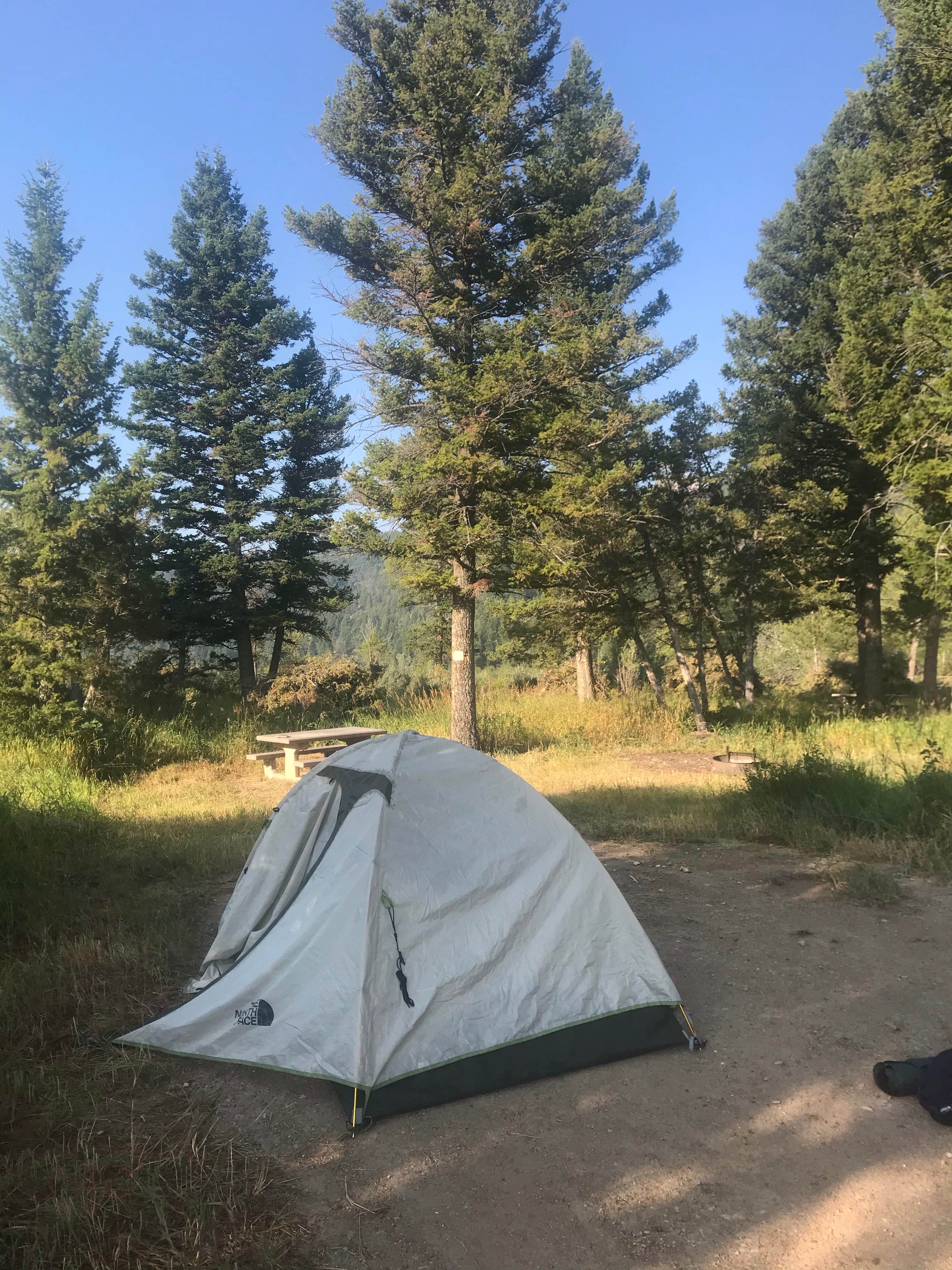 Laura C.'s photo of a dispersed camping area at 6100N Dispersed Camping Area near Norris, MT