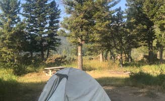 Laura C.'s photo of a dispersed camping area at 6100N Dispersed Camping Area near Sheridan, MT
