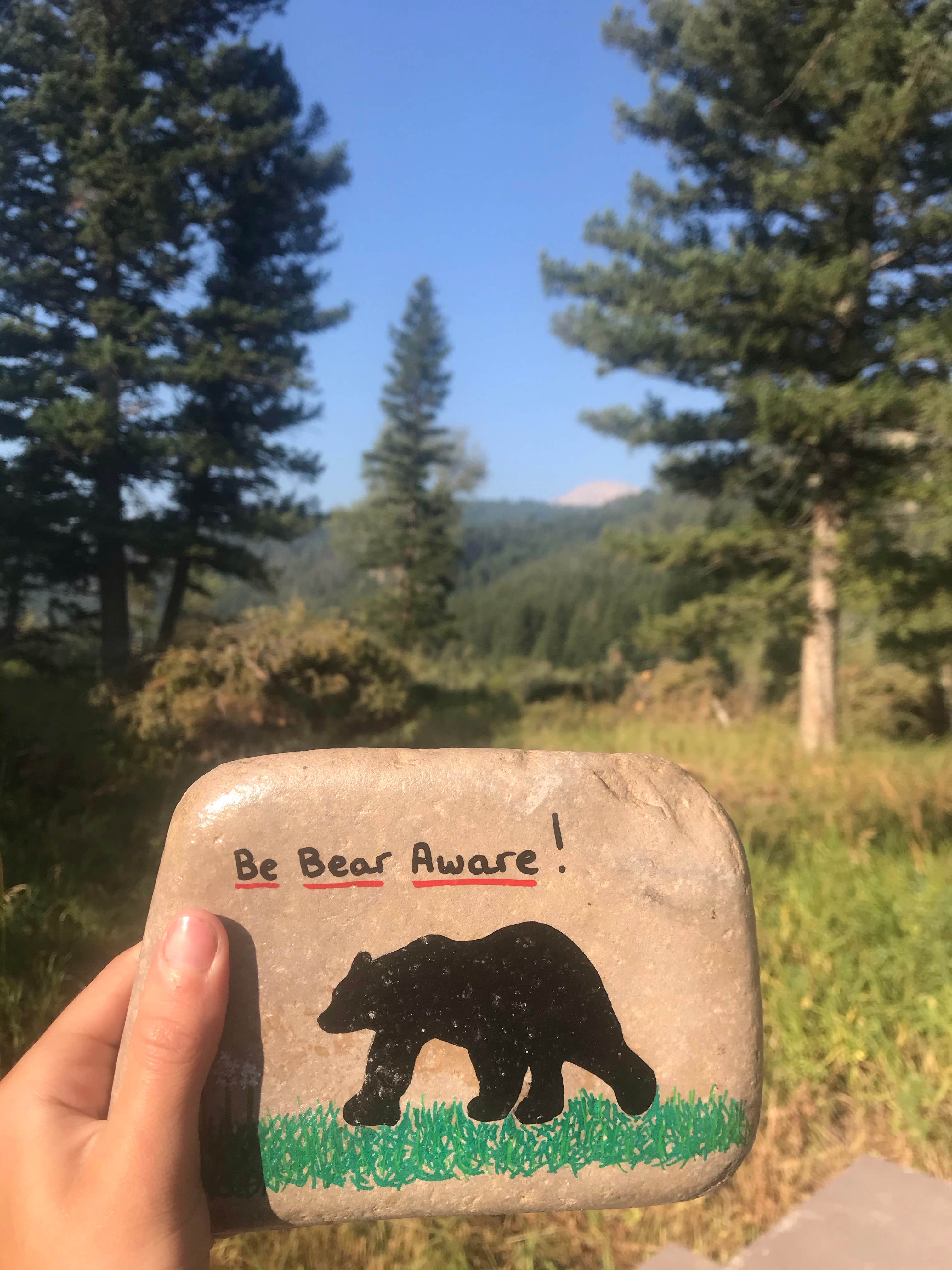 Camper-submitted photo at 6100N Dispersed Camping Area near Lima, MT