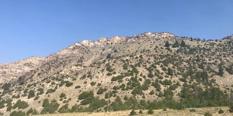 Camper submitted image from 6100N Dispersed Camping Area