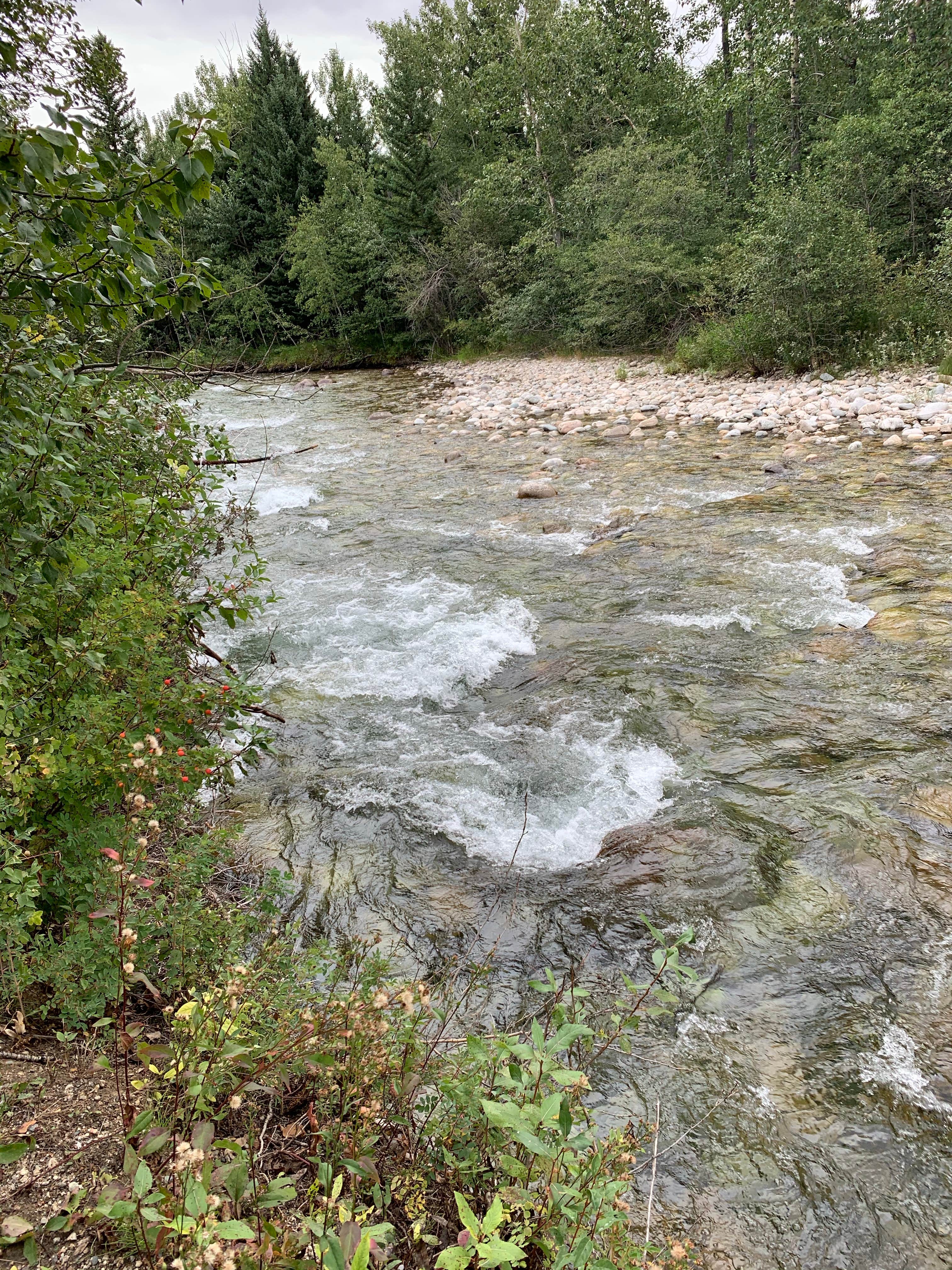 Camper-submitted photo at Perry's RV and Campgrounds near Cowley, WY