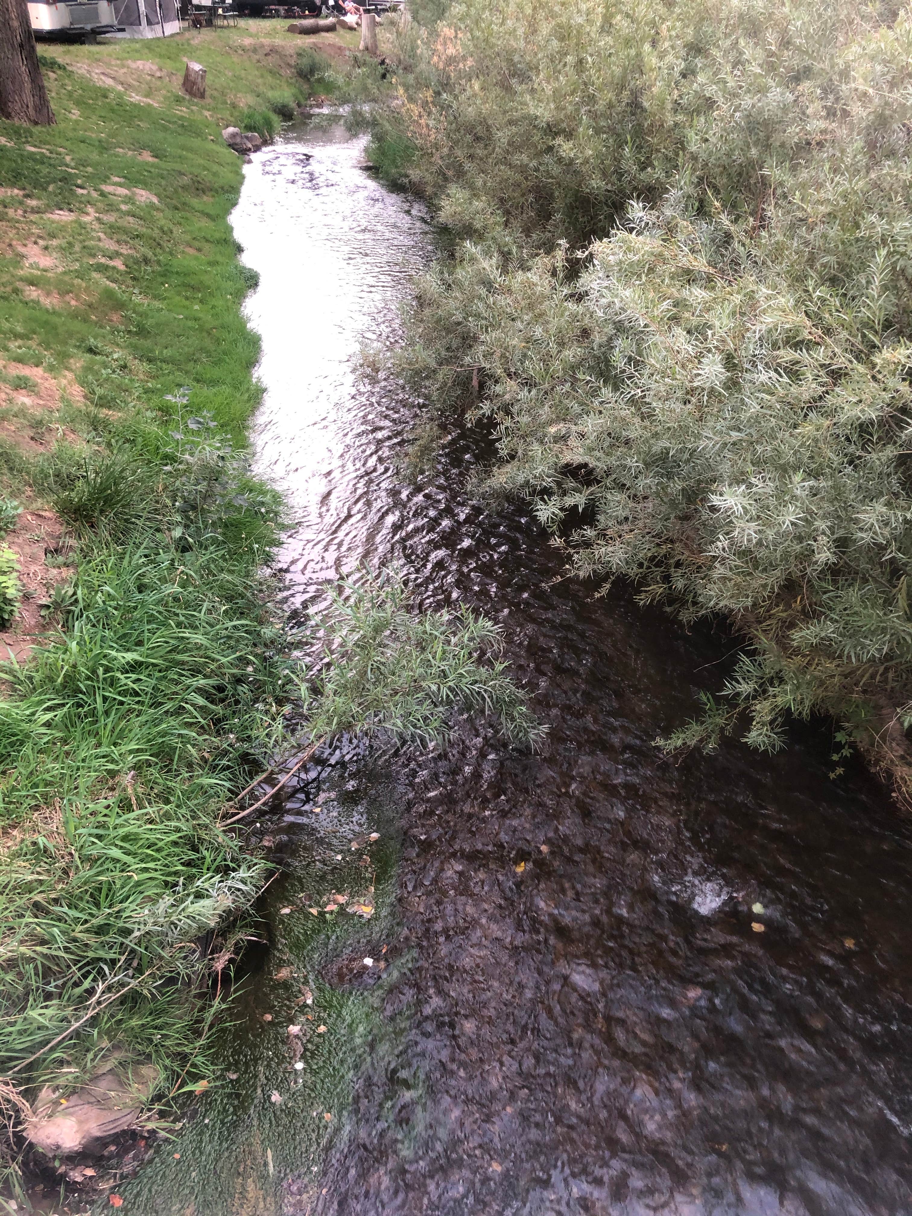 Camper-submitted photo at Riverside RV Park near Lincoln National Forest