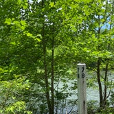 Review photo of Greenbrier River Trail MP 69.6 by Dave V., August 31, 2020
