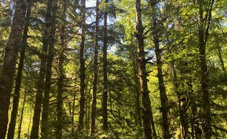 Cameren M.'s photo at Cook Creek in Oregon