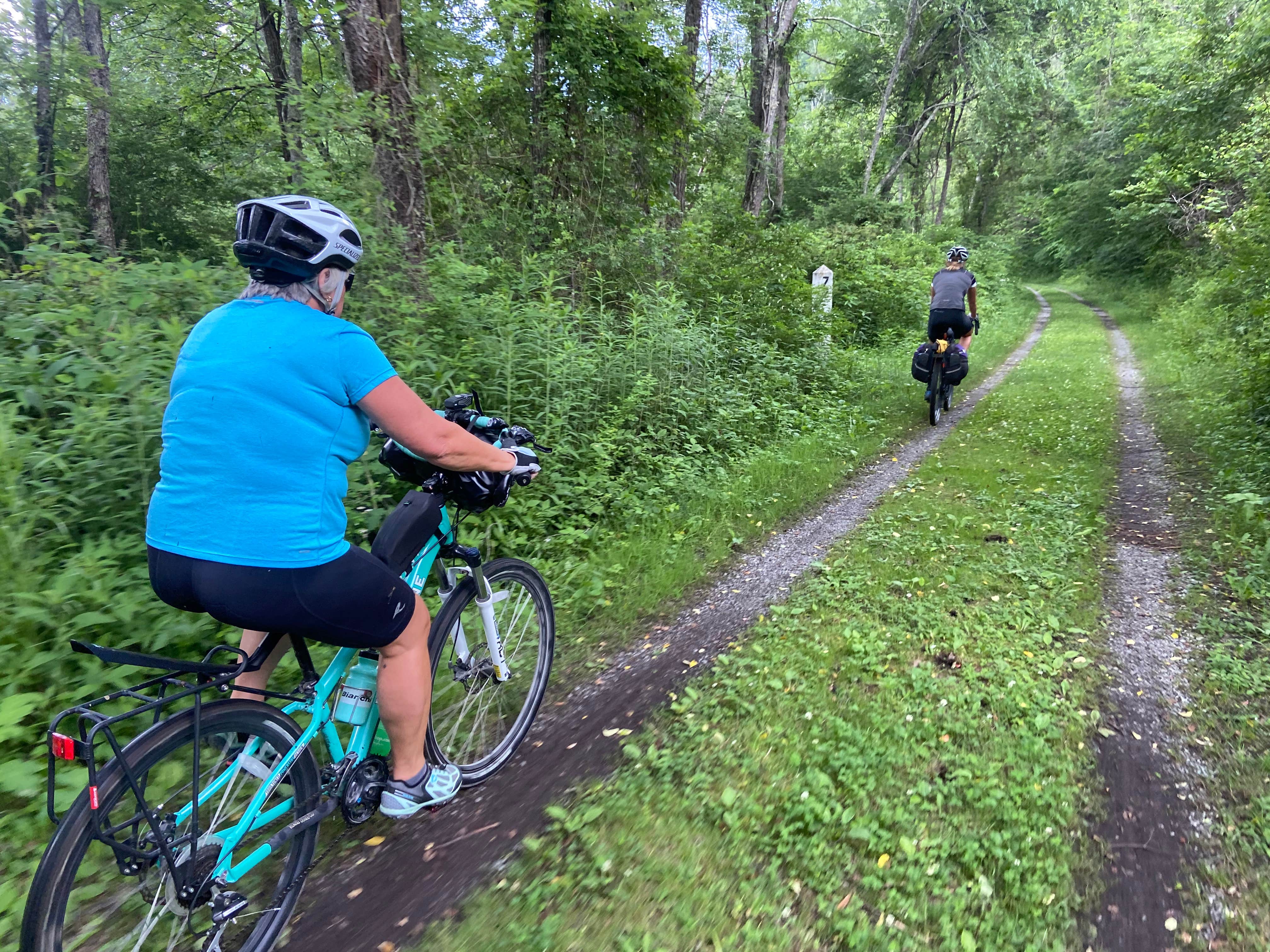 Camper-submitted photo at Greenbrier River Trail MP 69.6 near Snowshoe, WV