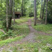 Review photo of Greenbrier River Trail MP 69.6 by Dave V., August 31, 2020