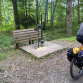 Review photo of Greenbrier River Trail MP 69.6 by Dave V., August 31, 2020