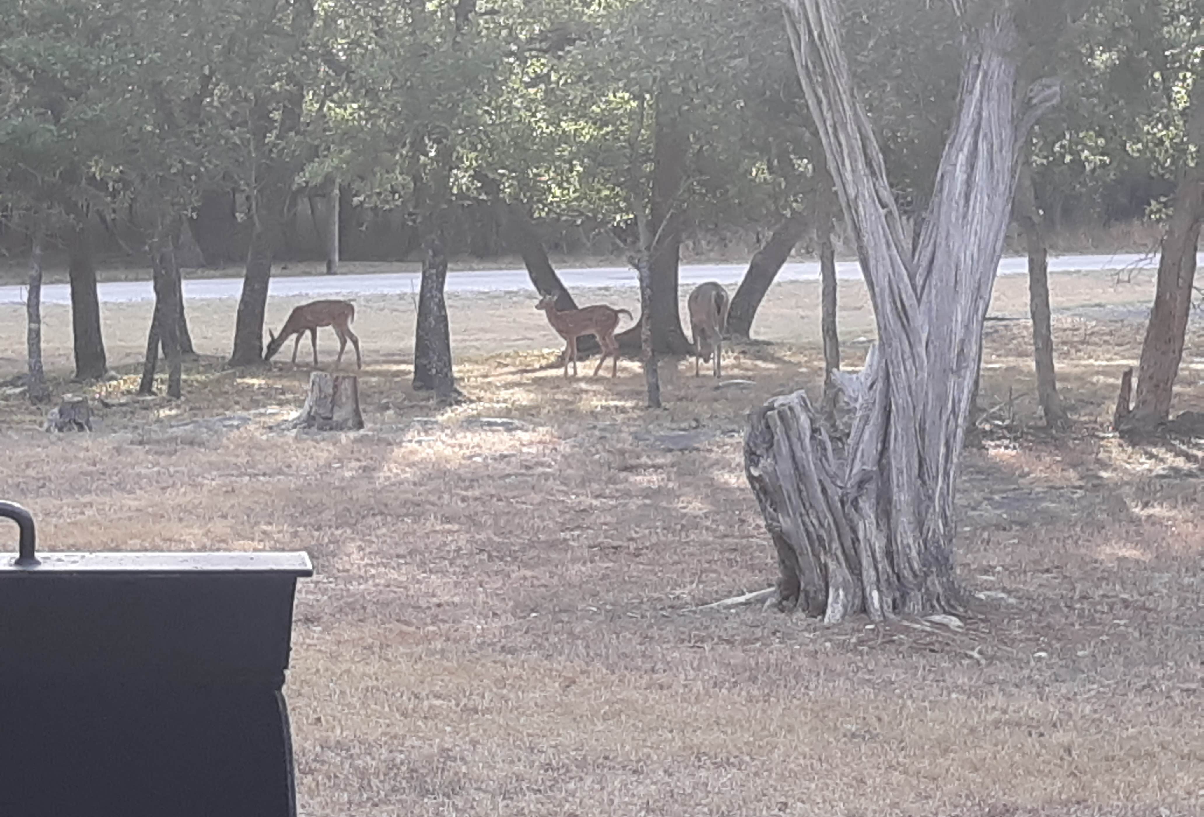 Cedar Ridge Texas Cedar Ridge (TX) Camping | Temple, Texas
