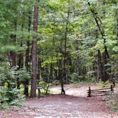 Review photo of Oconee State Park Campground by Myron C., September 1, 2020