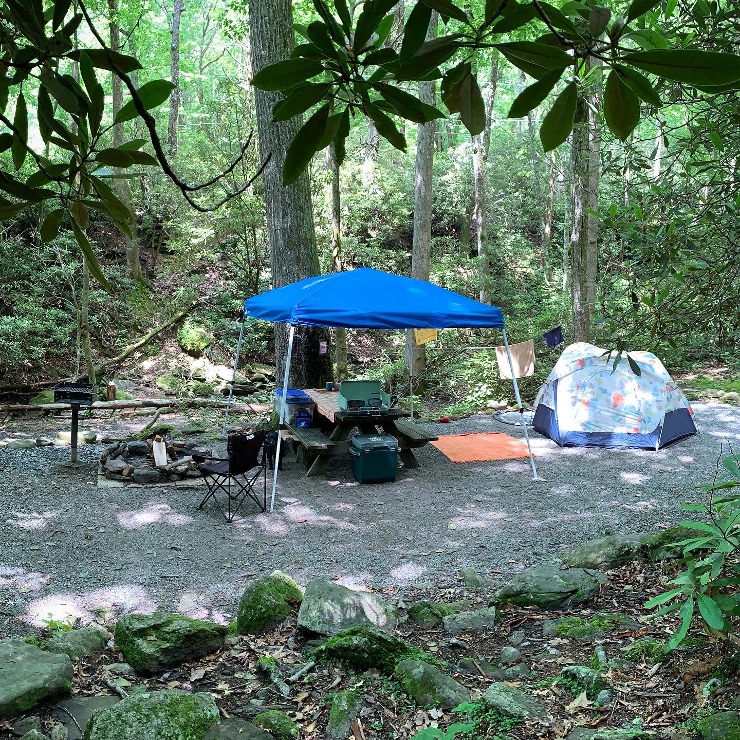 Camper submitted image from Montreat Family Campground - 4