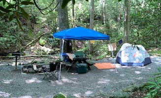 Anjanel P.'s photo at Montreat Family Campground near Swannanoa, NC