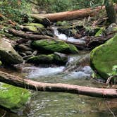 Review photo of Montreat Family Campground by Anjanel P., September 1, 2020