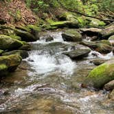 Review photo of Montreat Family Campground by Anjanel P., September 1, 2020