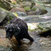 Review photo of Montreat Family Campground by Anjanel P., September 1, 2020