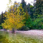 Review photo of Tennison Bay Campground — Peninsula State Park by Laura B., September 1, 2020