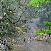 Review photo of Davidson River Campground by Anjanel P., September 1, 2020