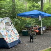 Review photo of Davidson River Campground by Anjanel P., September 1, 2020