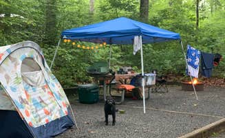 Anjanel P.'s photo at Davidson River Campground in North Carolina