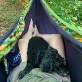 Review photo of Davidson River Campground by Anjanel P., September 1, 2020