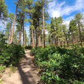 Review photo of Yogi Bear's Jellystone Park at Larkspur by Sarah F., September 1, 2020